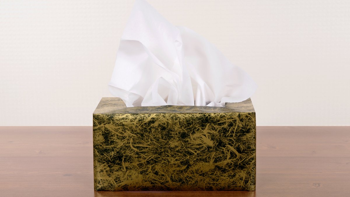 Facial tissue box resting on bathroom vanity counter during privacy audit
